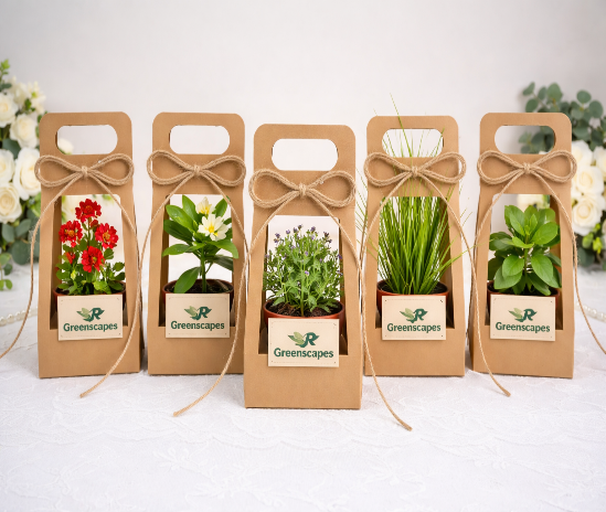 Green Gifts